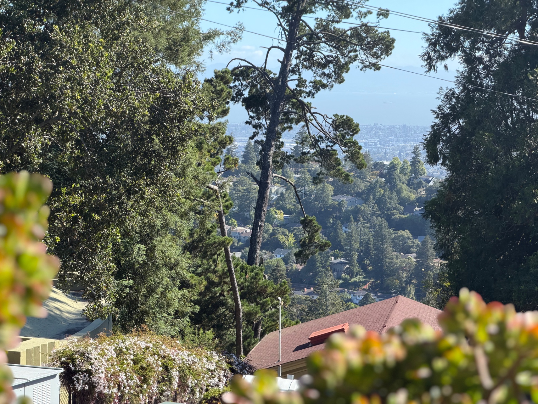 UC Berkeley