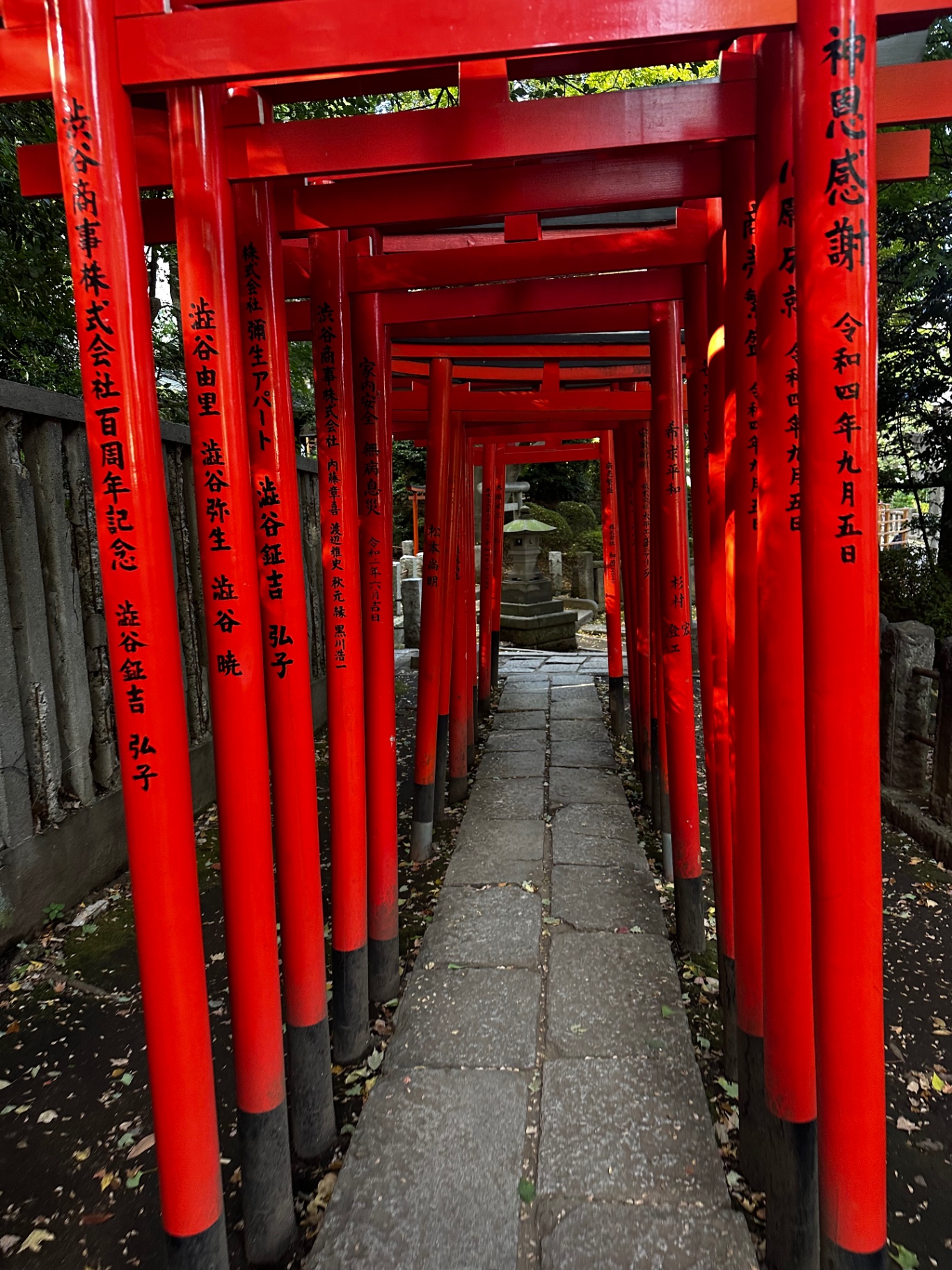 Torii gates leading along a pilgrim path